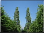 foto Colline tra Fonte Alto e Paderno del Grappa